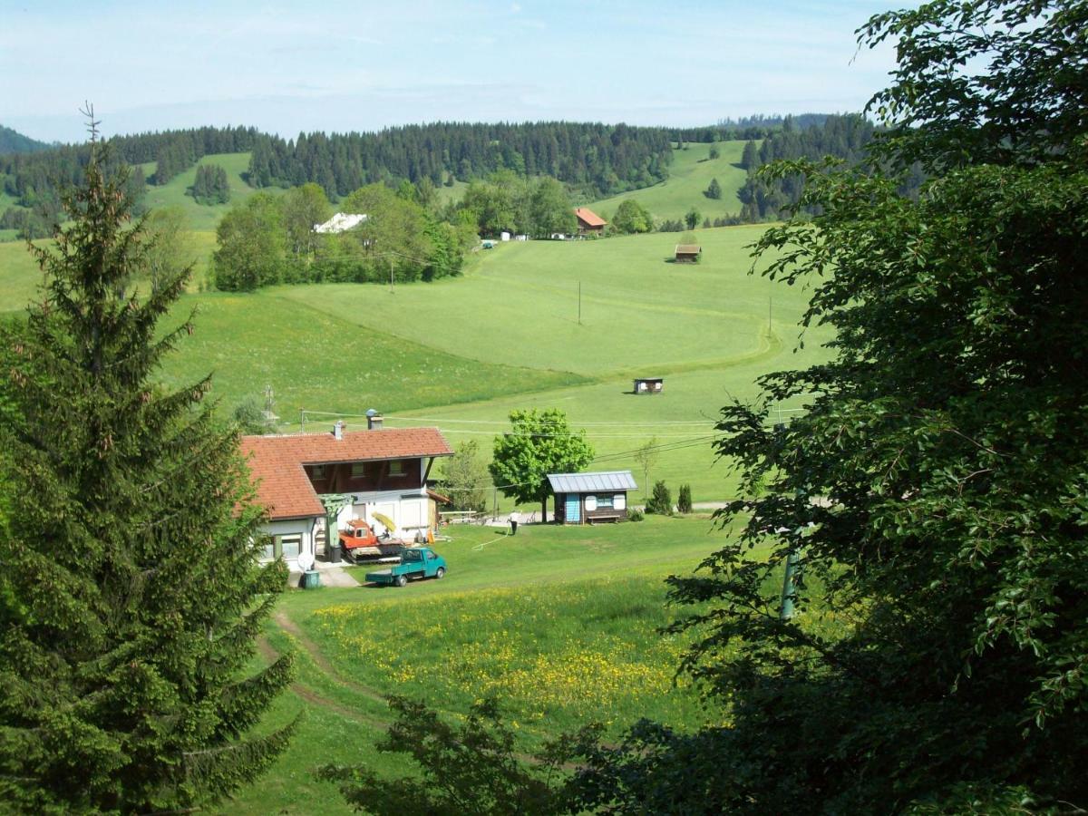Am Skihang / Bergwiese *