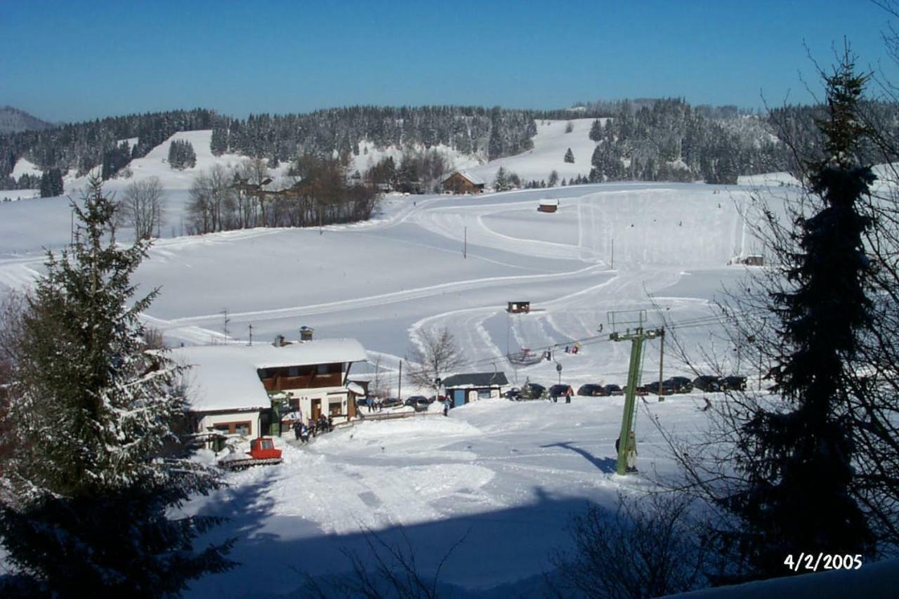 Am Skihang / Bergwiese *