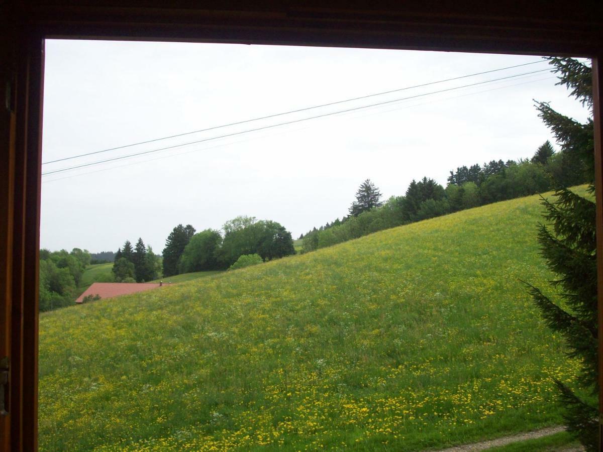 Am Skihang / Bergwiese