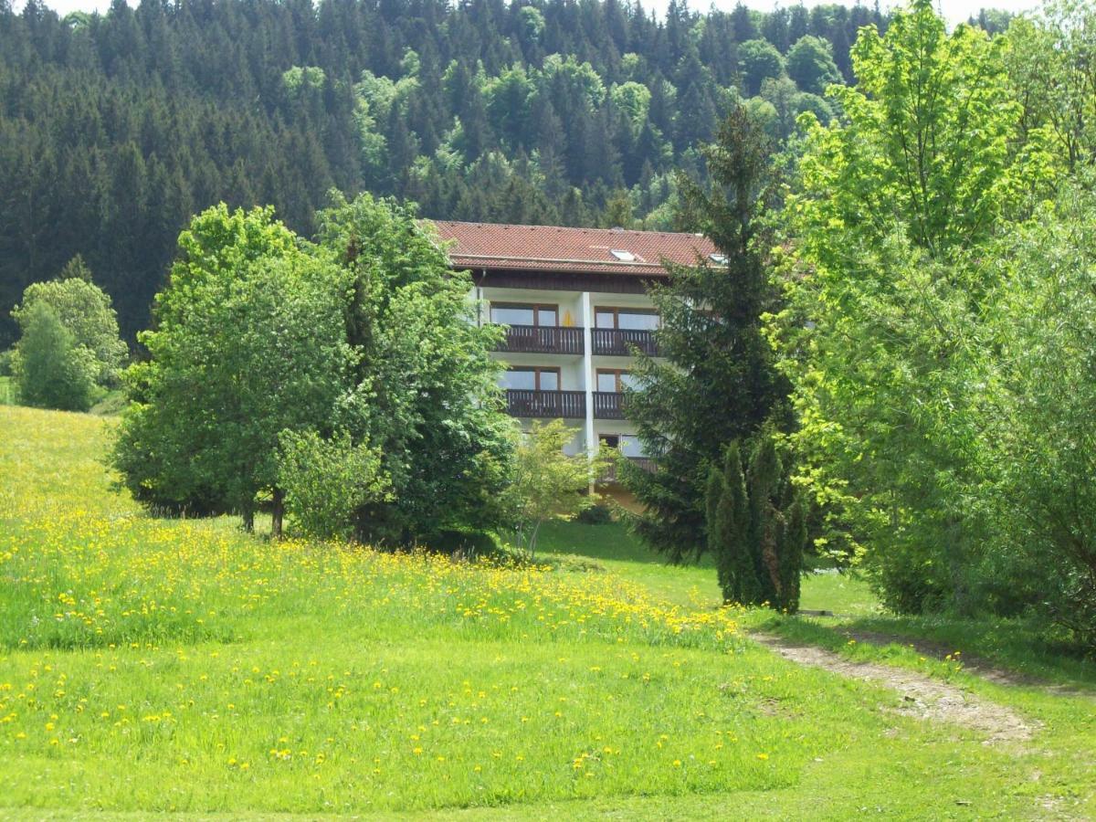 Am Skihang / Bergwiese * Missen-Wilhams