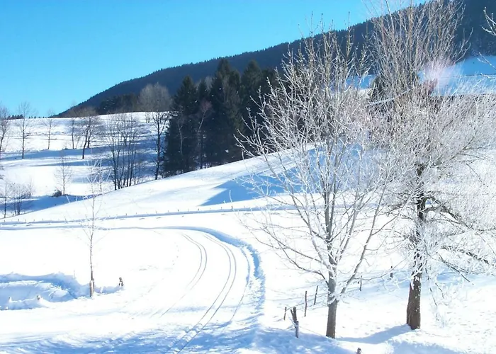 Fewo am Skihang / Bergwiese